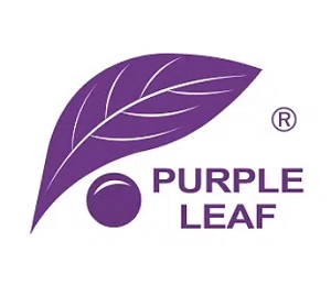 Purple Leaf CA